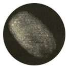 Comet brorsen Comet brorsen