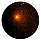 Comet d'Arret