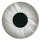Eclipse Comet