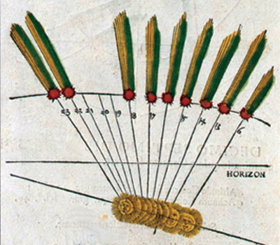 Peter Apian - Illustration of Halley's Comet