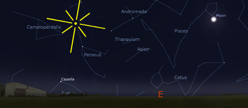 Perseid Meteor Shower